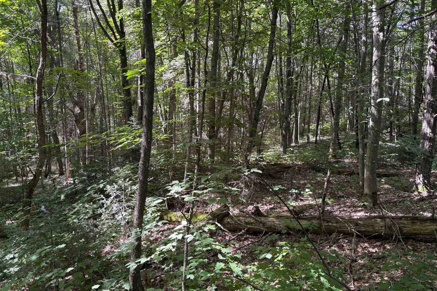 Additional image 8 of 0 Hemlock Road