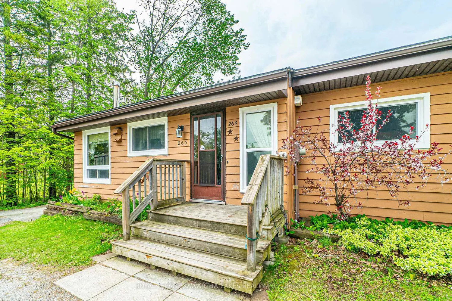 265 Cameron Street photo 4