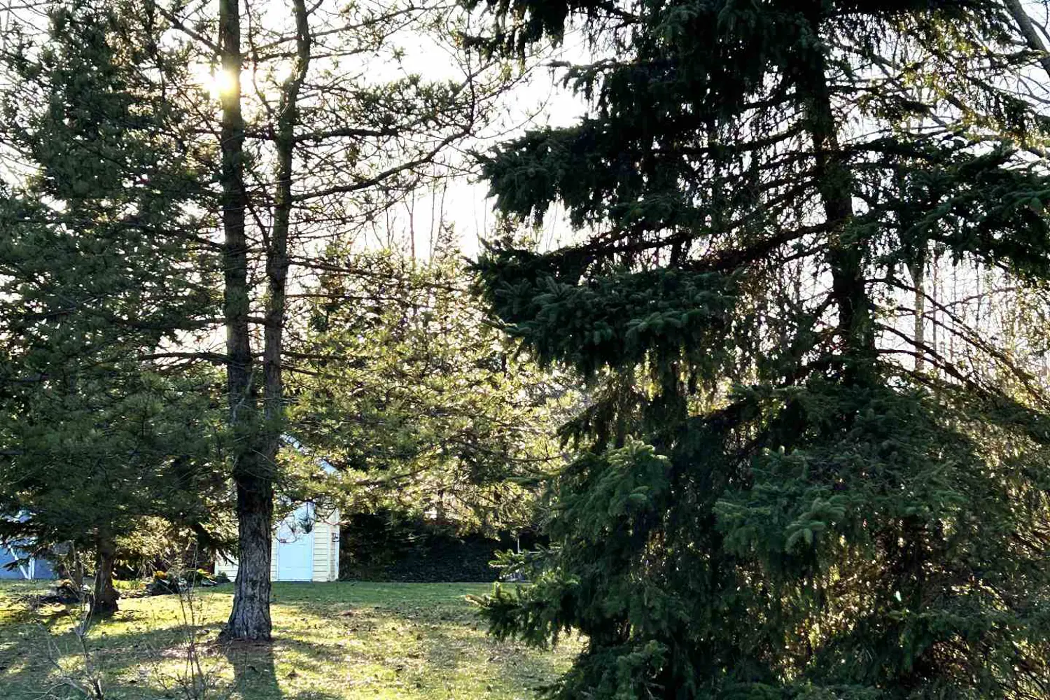 Additional image 6 of 13 Pollard Drive