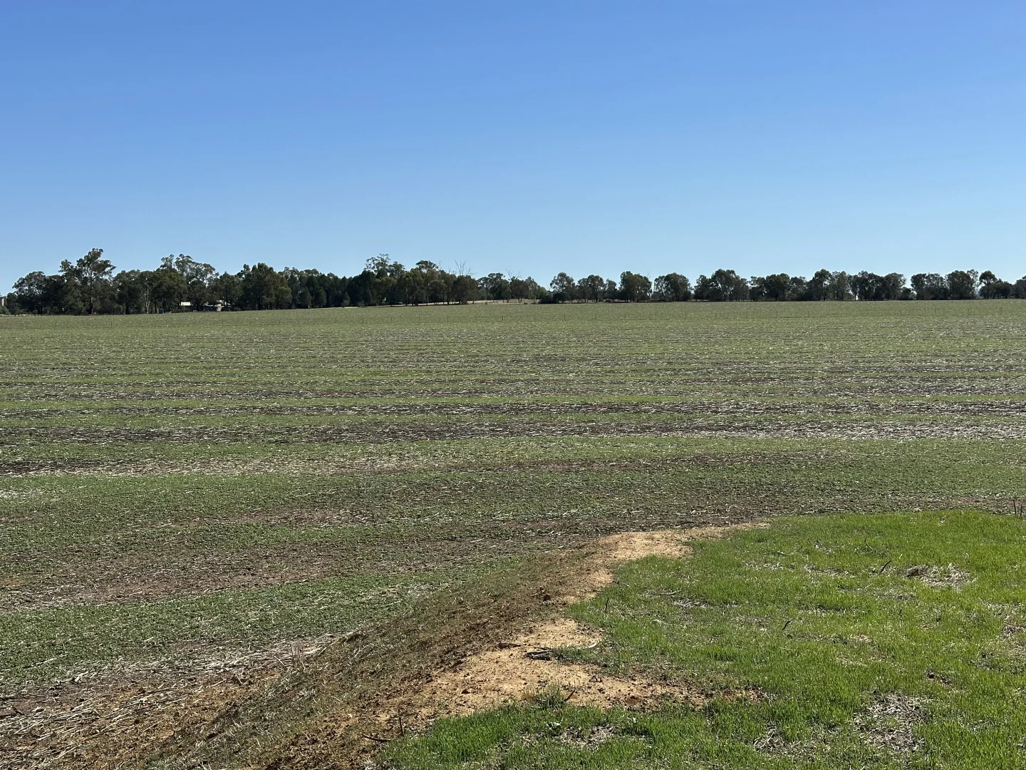 Additional image 17 of . Lilydale Road, Balldale NSW 2646