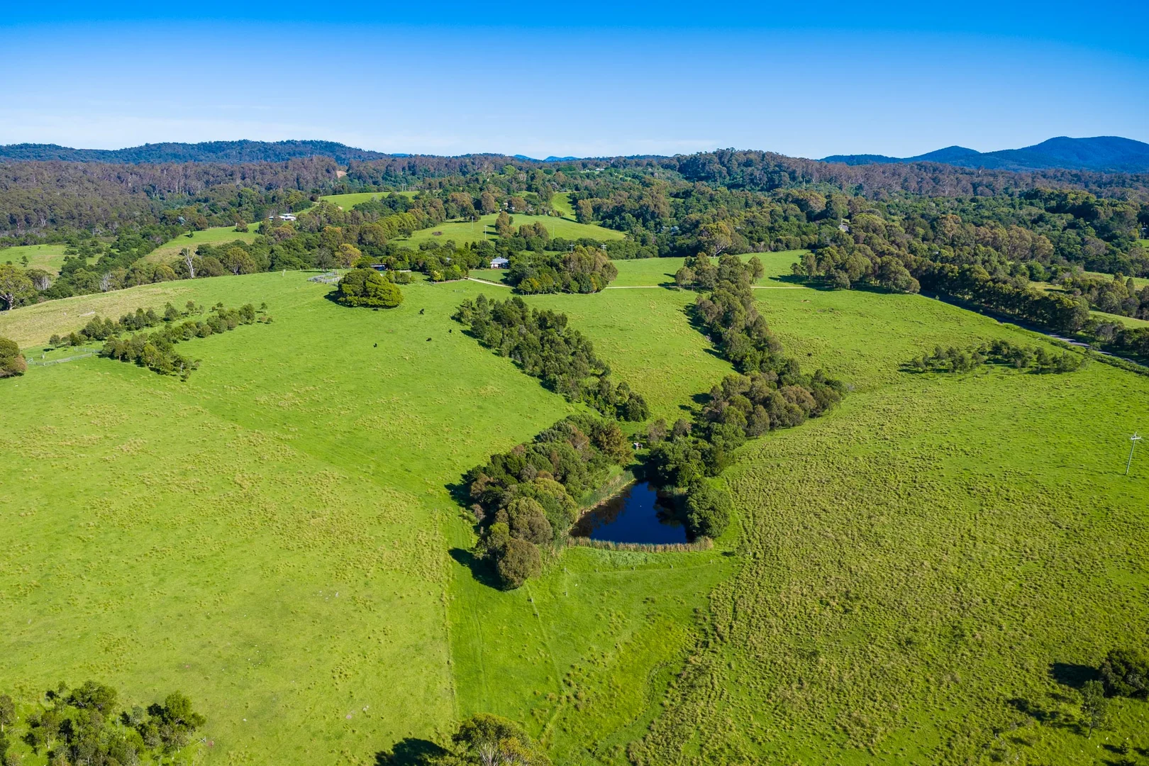 Additional image 52 of 259 Barrabooka Road, Tanja NSW 2550