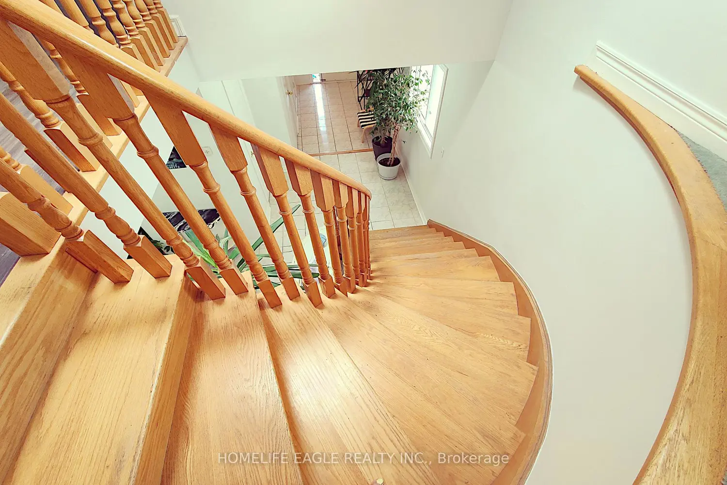 Additional image 18 of 12 Indigo Street