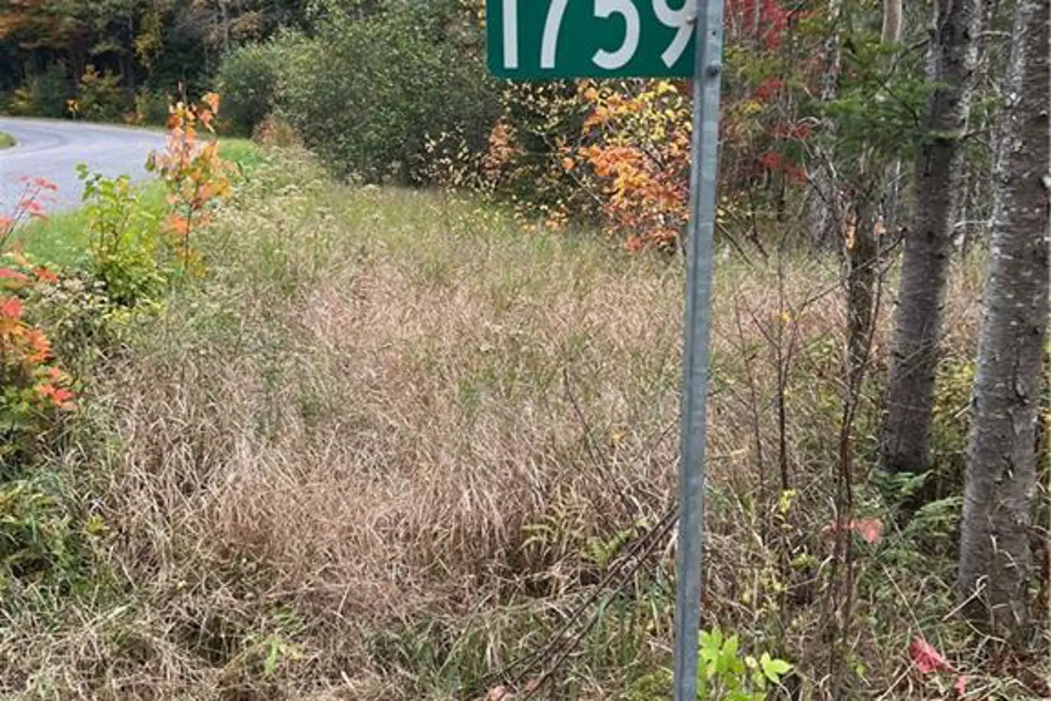 Additional image 15 of 1759 Alsace Road
