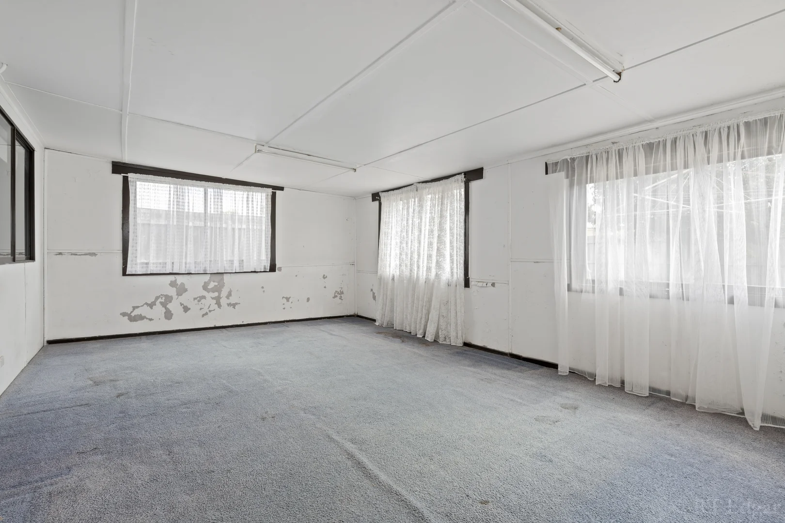 23 Ward Street, St Leonards VIC 3223 photo 3