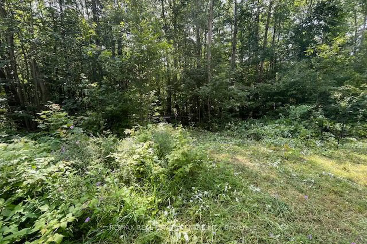 Additional image 7 of Pt Lt44 Chatsworth 24 Road