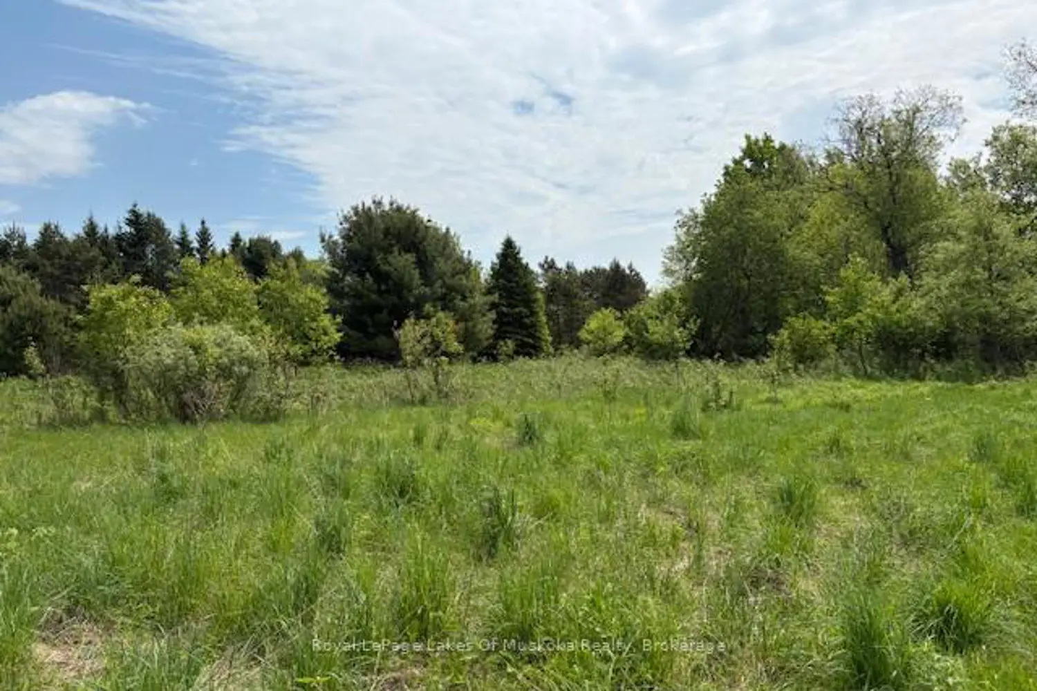 Additional image 20 of 351 Ravenscliffe Road
