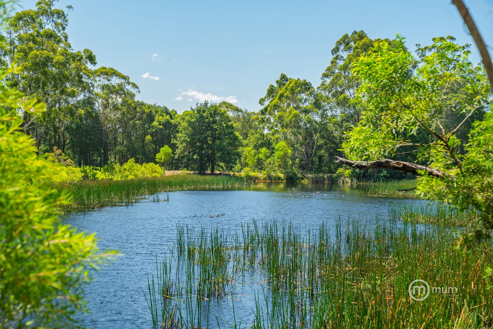 Milton NSW 2538 photo 5