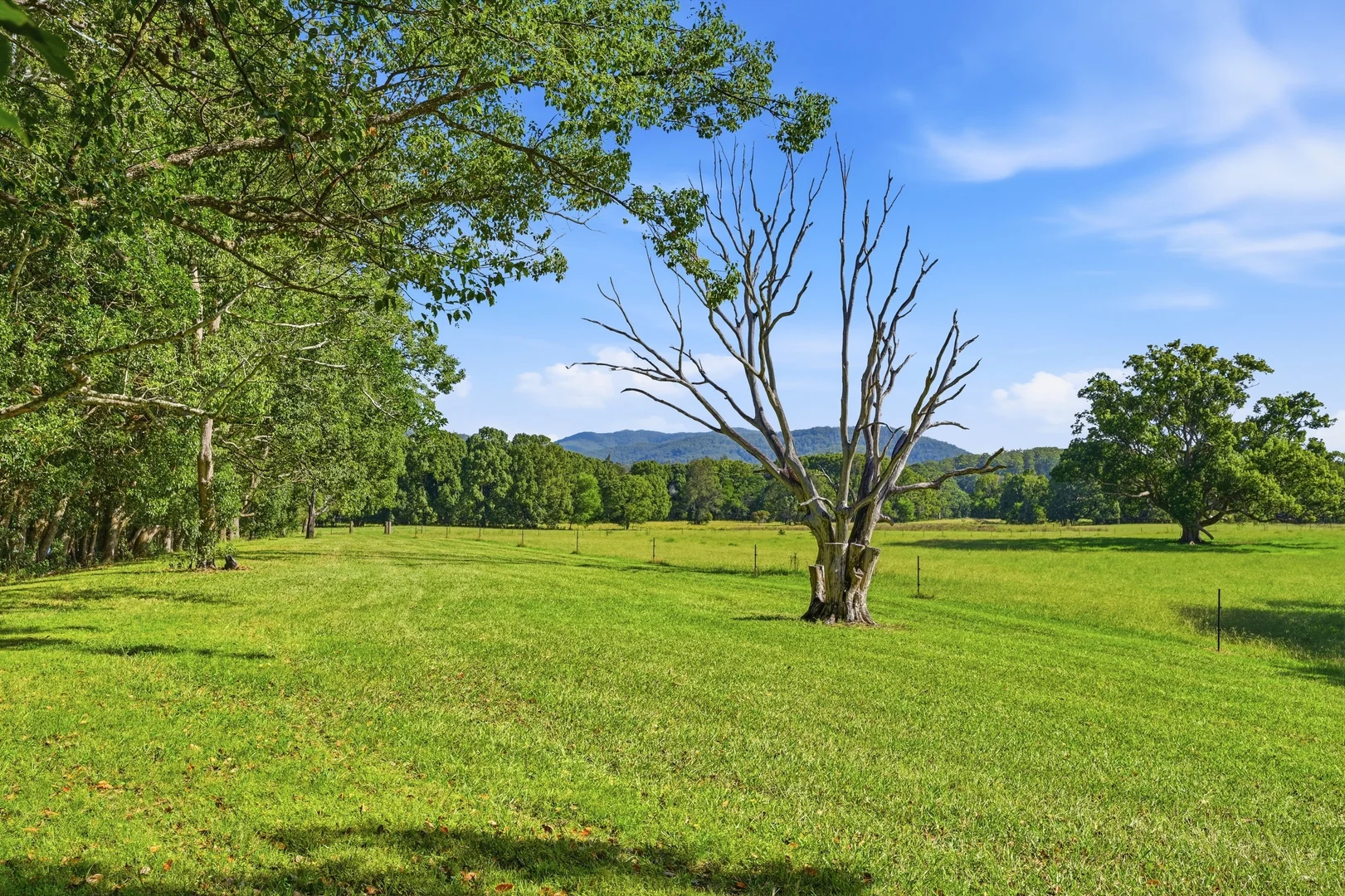 Additional image 31 of 2b Araluen Street, Kendall NSW 2439