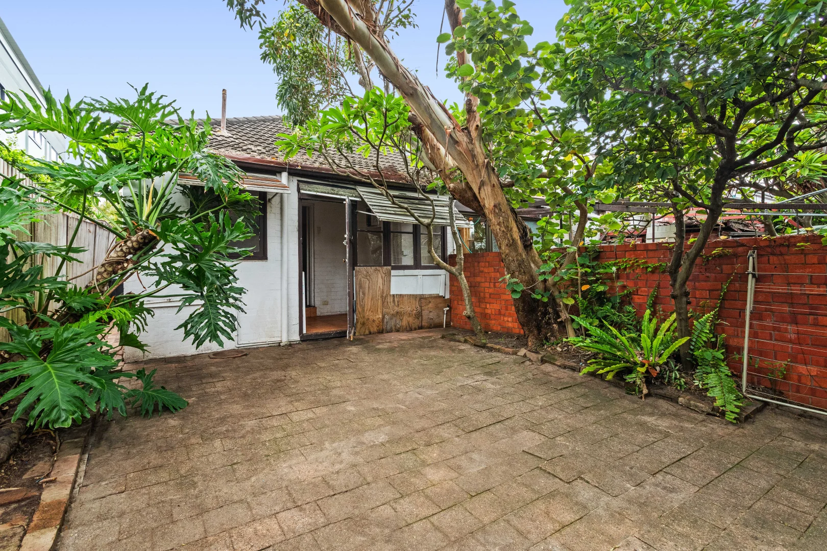 Additional image 6 of 41 Wairoa Avenue, North Bondi NSW 2026