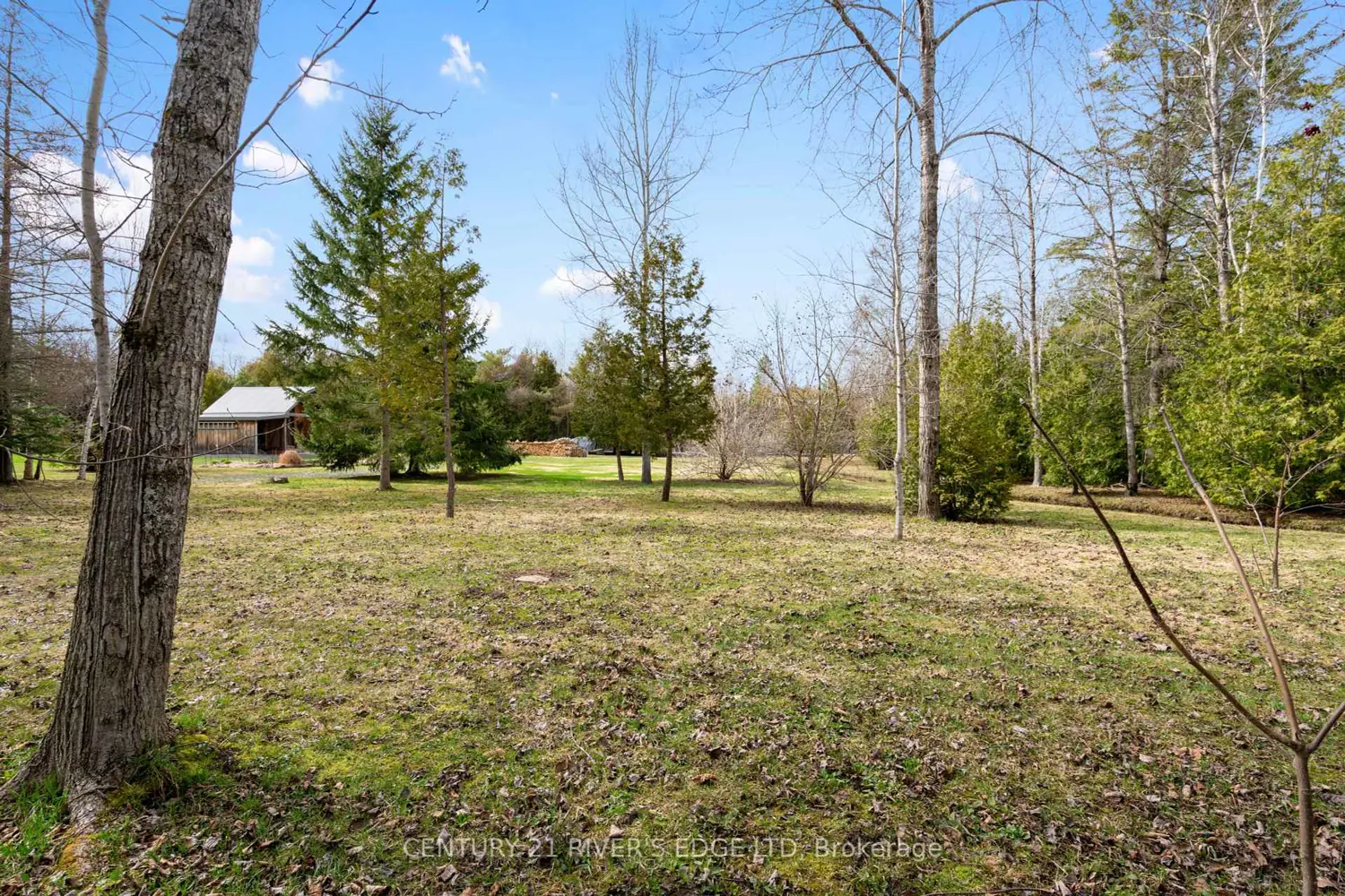 Additional image 16 of 308 Forbes Road