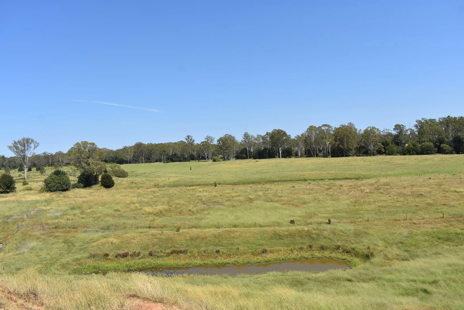 Additional image 18 of lot 103 Pidgeons Road, Tiaro QLD 4650