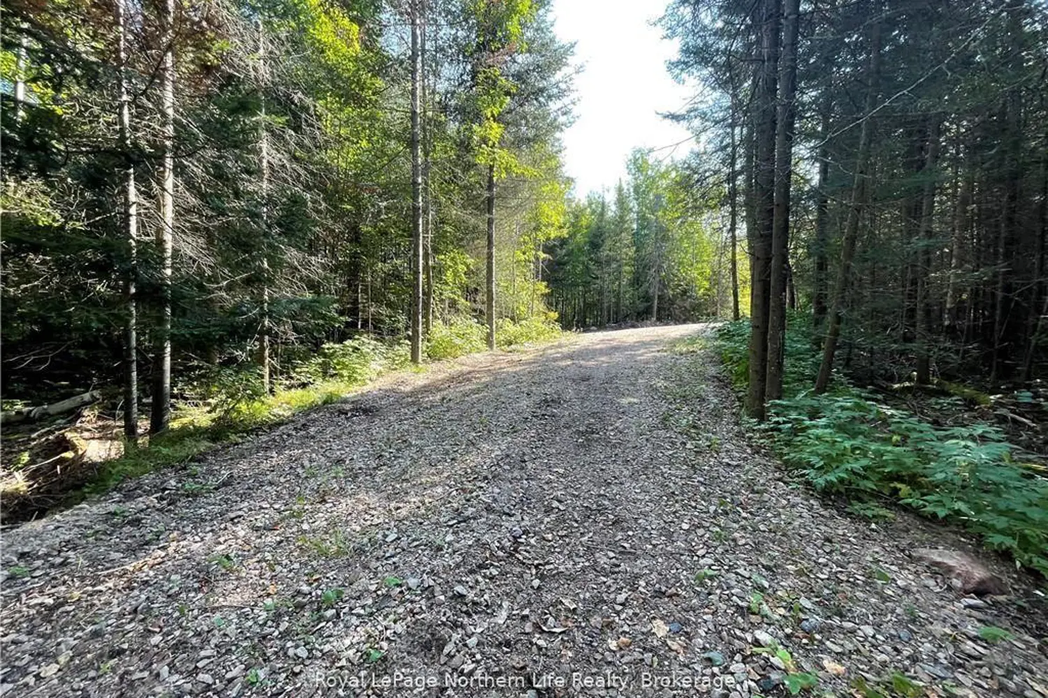 Additional image 19 of 1945 Alsace Road