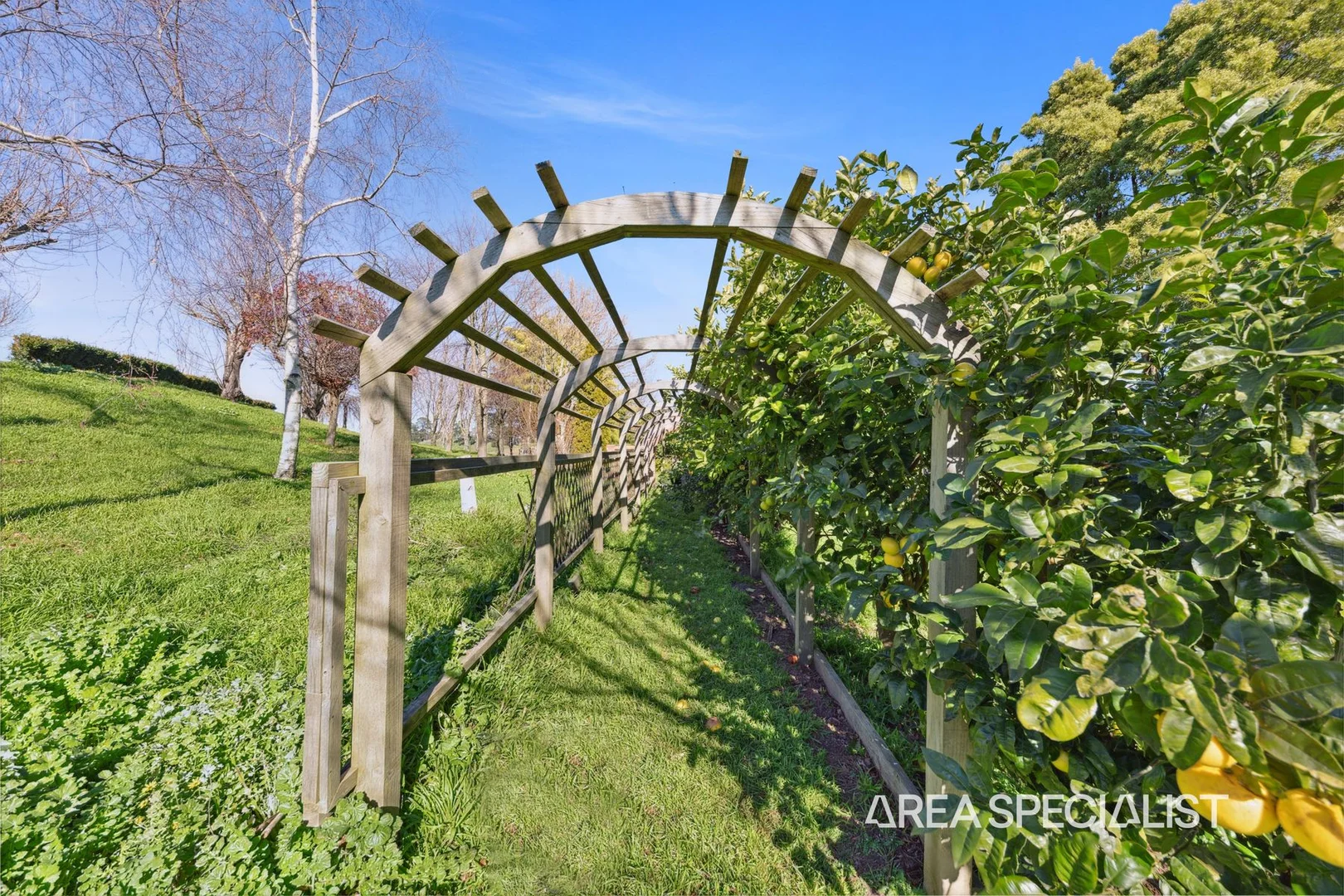 Additional image 33 of 300 Grand Ridge Road, Seaview VIC 3821