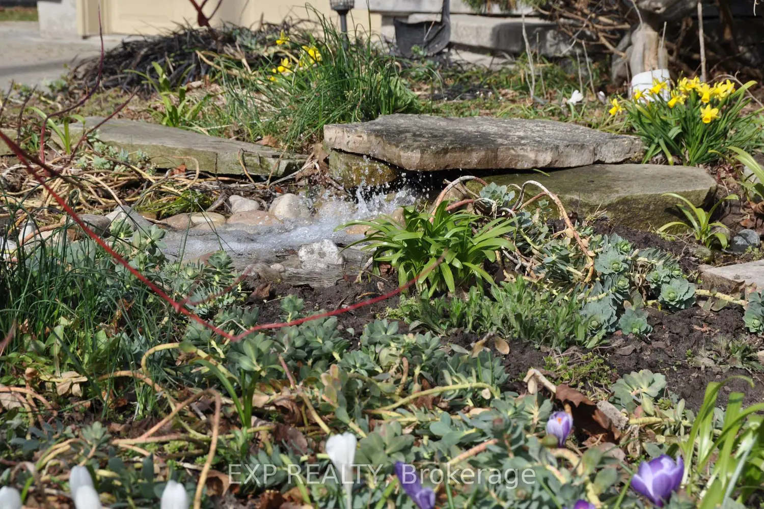172 Dalhousie Avenue photo 2
