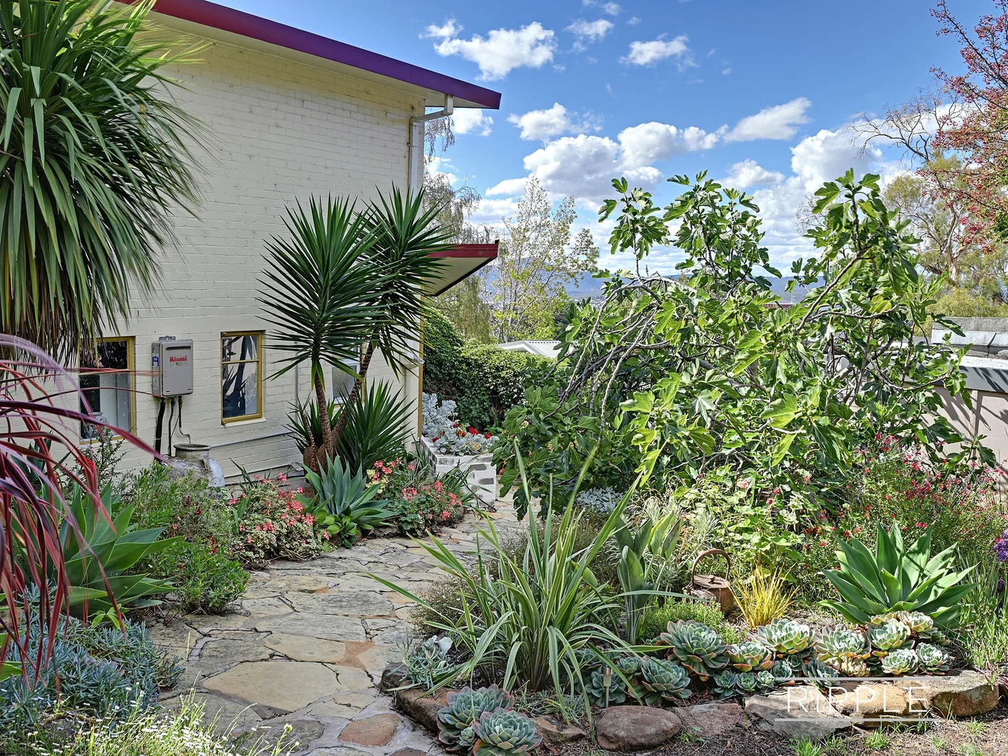 Additional image 26 of 4 Athleen Avenue, Lenah Valley TAS 7008