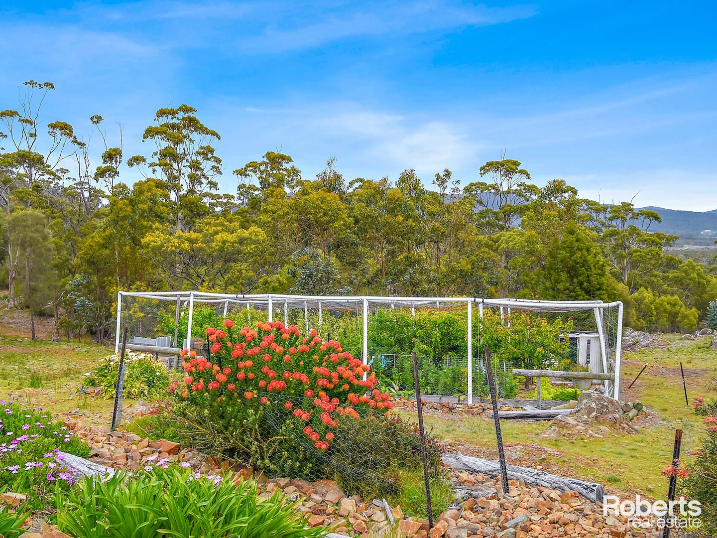 Additional image 23 of 99 Rosedale Road, Bicheno TAS 7215