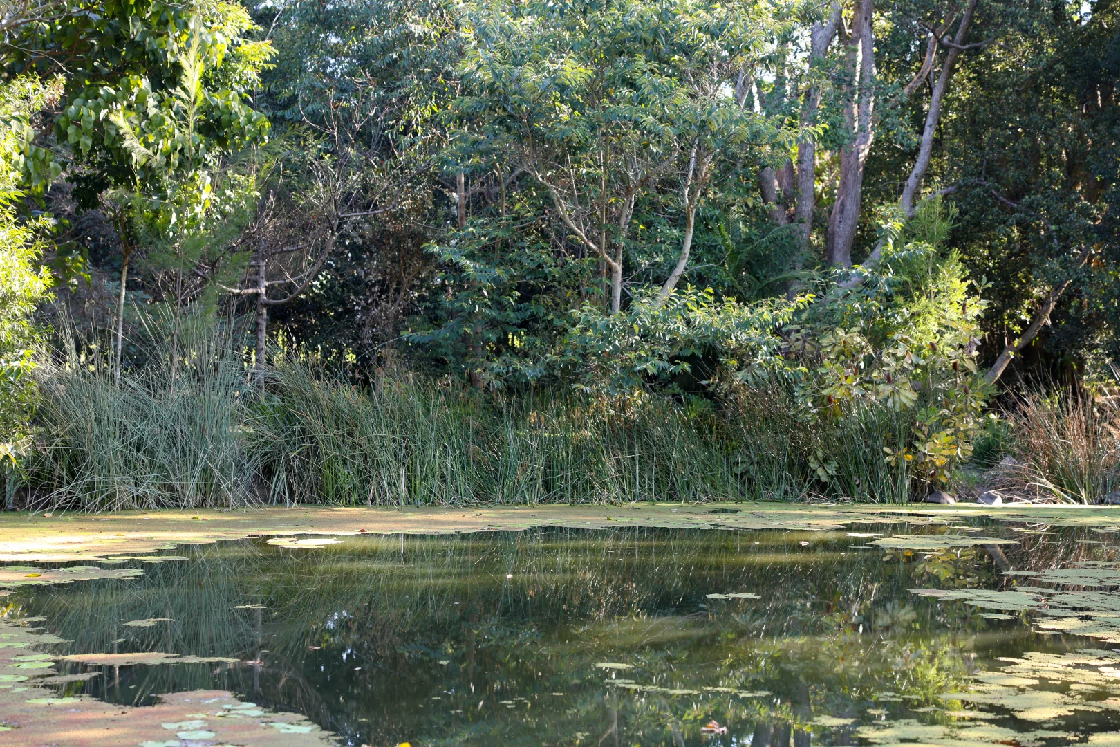 Additional image 30 of Cooroy Mountain QLD 4563