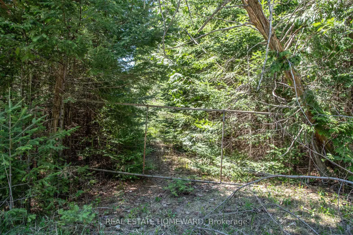 Additional image 7 of P/L35 Con 5 Bull Road