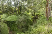 Additional image 10 of SA204/81 Willandra Road, Narraweena NSW 2099