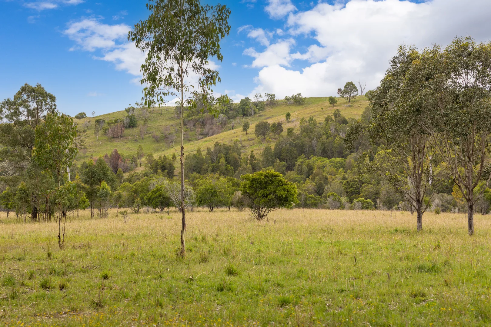 Additional image 4 of 87 Norries Road, Bunyah NSW 2429