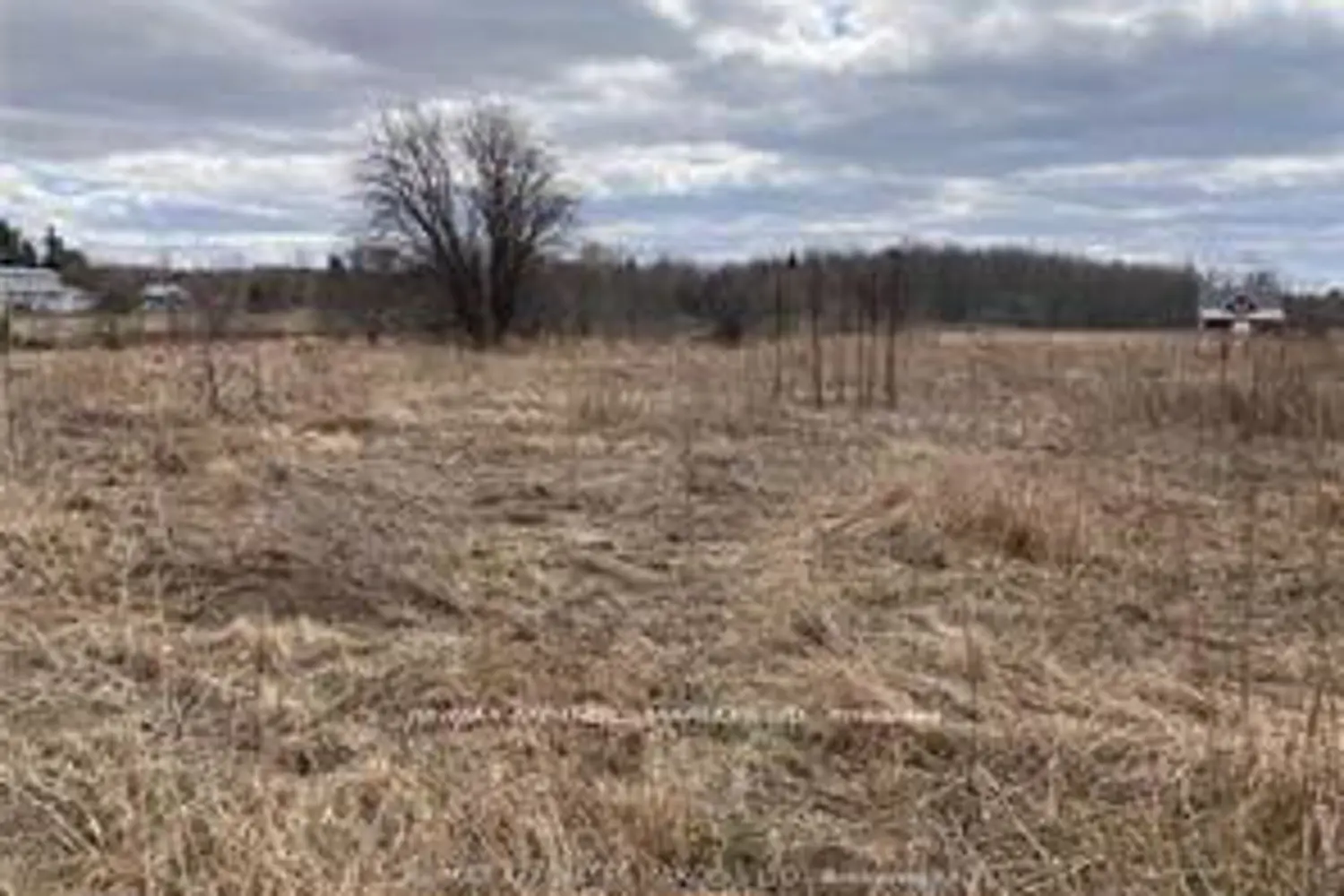 Additional image 7 of Lot South Branch Road