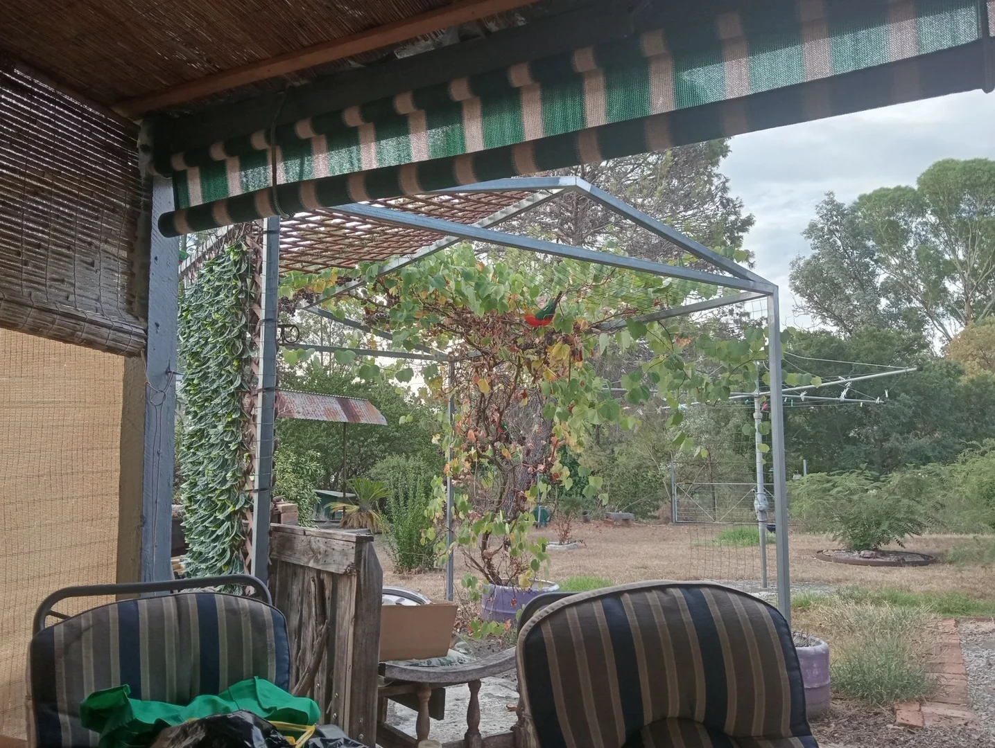 Additional image 18 of 60 Alice street, Barraba NSW 2347