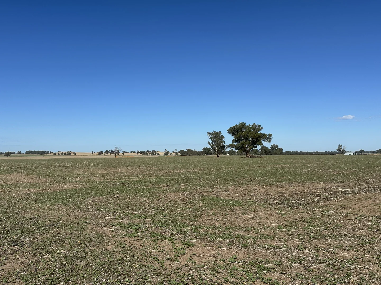 Additional image 10 of . Lilydale Road, Balldale NSW 2646