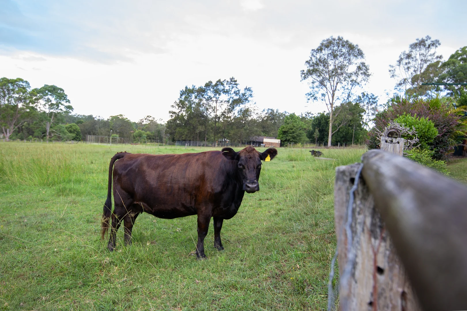 Additional image 38 of 178 Cedar Party Road, Taree NSW 2430