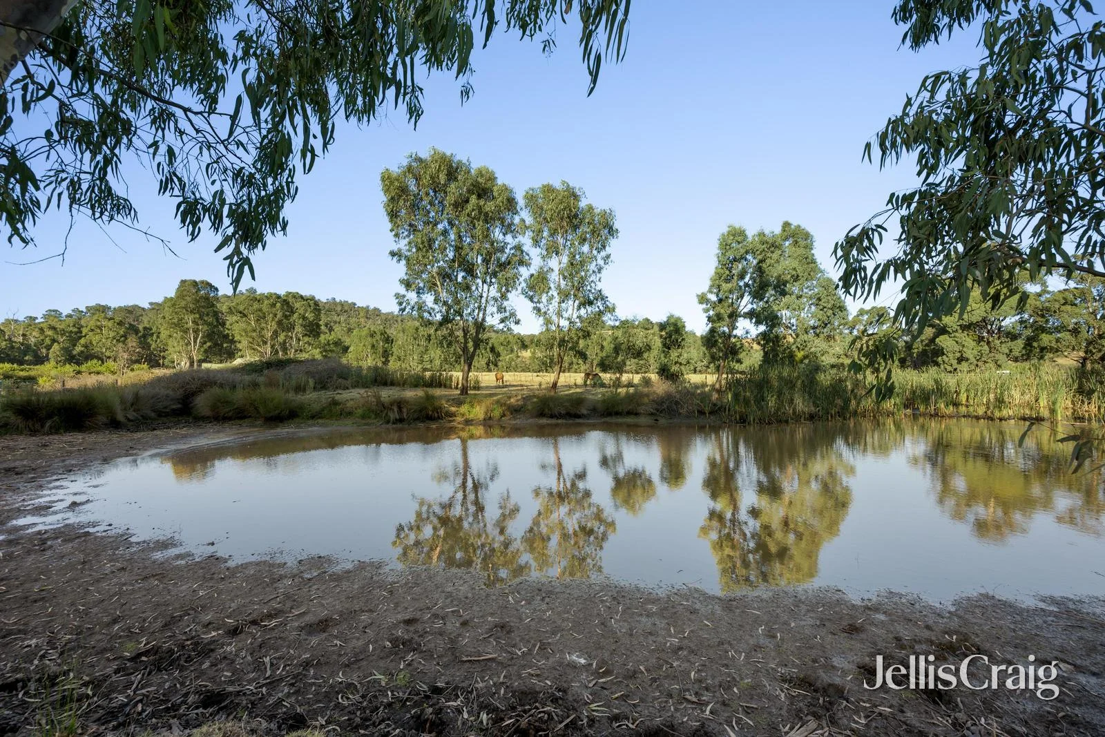 Additional image 25 of 272 Steels Creek Road, Yarra Glen VIC 3775