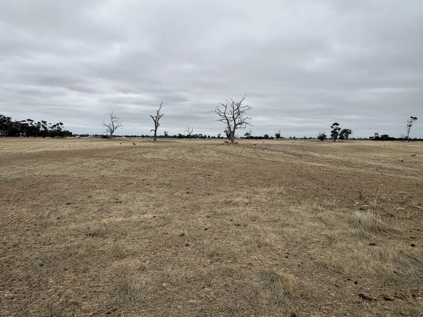 Additional image 6 of Sec 603 Pitcher Lane, Bordertown SA 5268