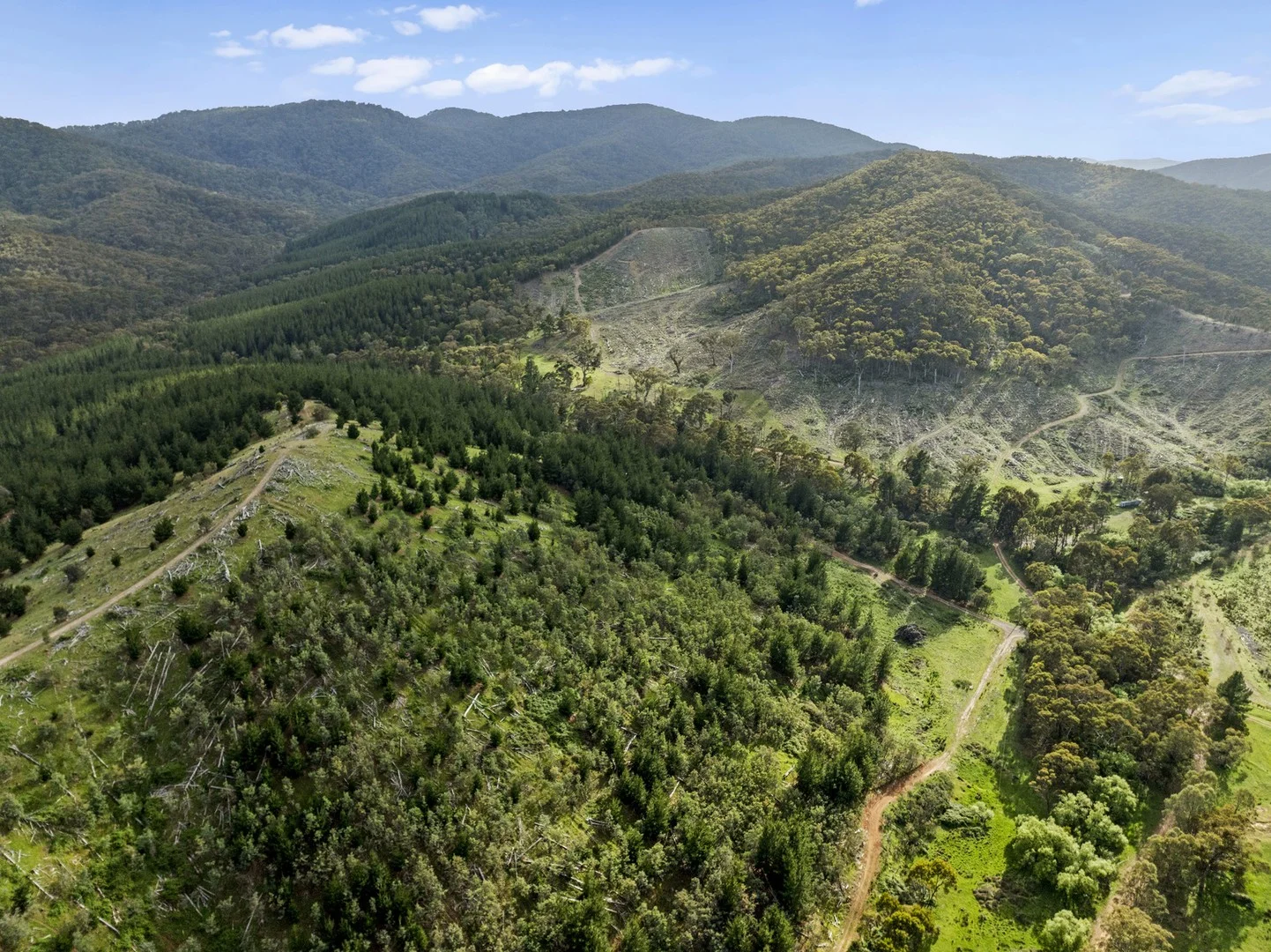 Additional image 10 of 259 Hells Hole Creek Road, Bonnie Doon VIC 3720