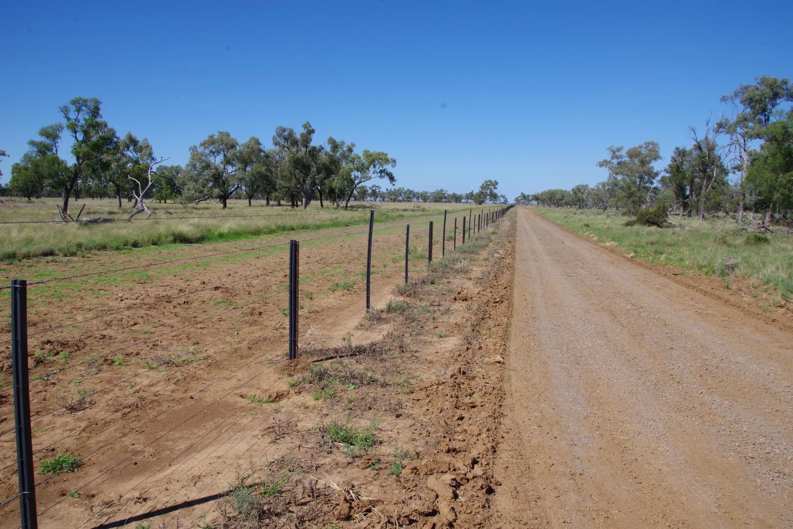 Additional image 6 of . Sunnyside Lane, Wee Waa NSW 2388