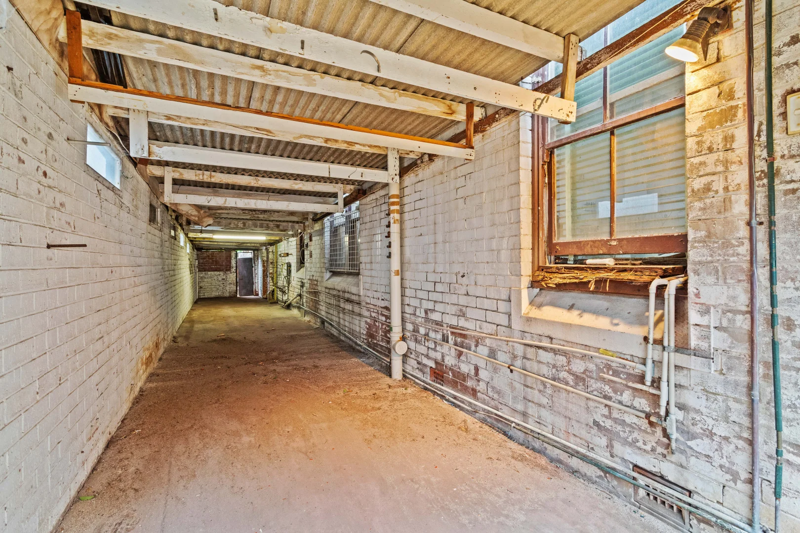 Additional image 9 of 41 Wairoa Avenue, North Bondi NSW 2026