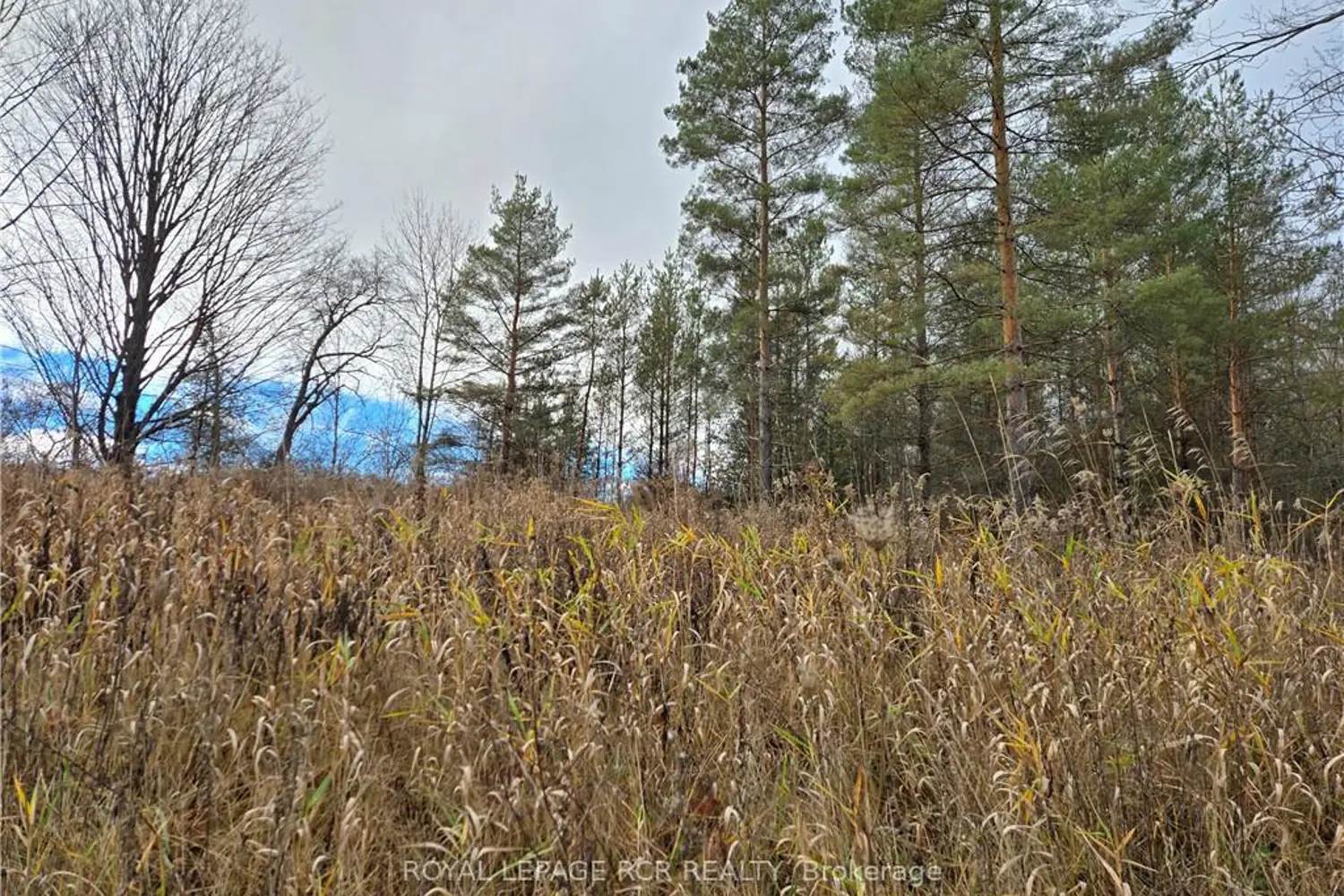 Lt 8 Ws Highway 6 photo 3
