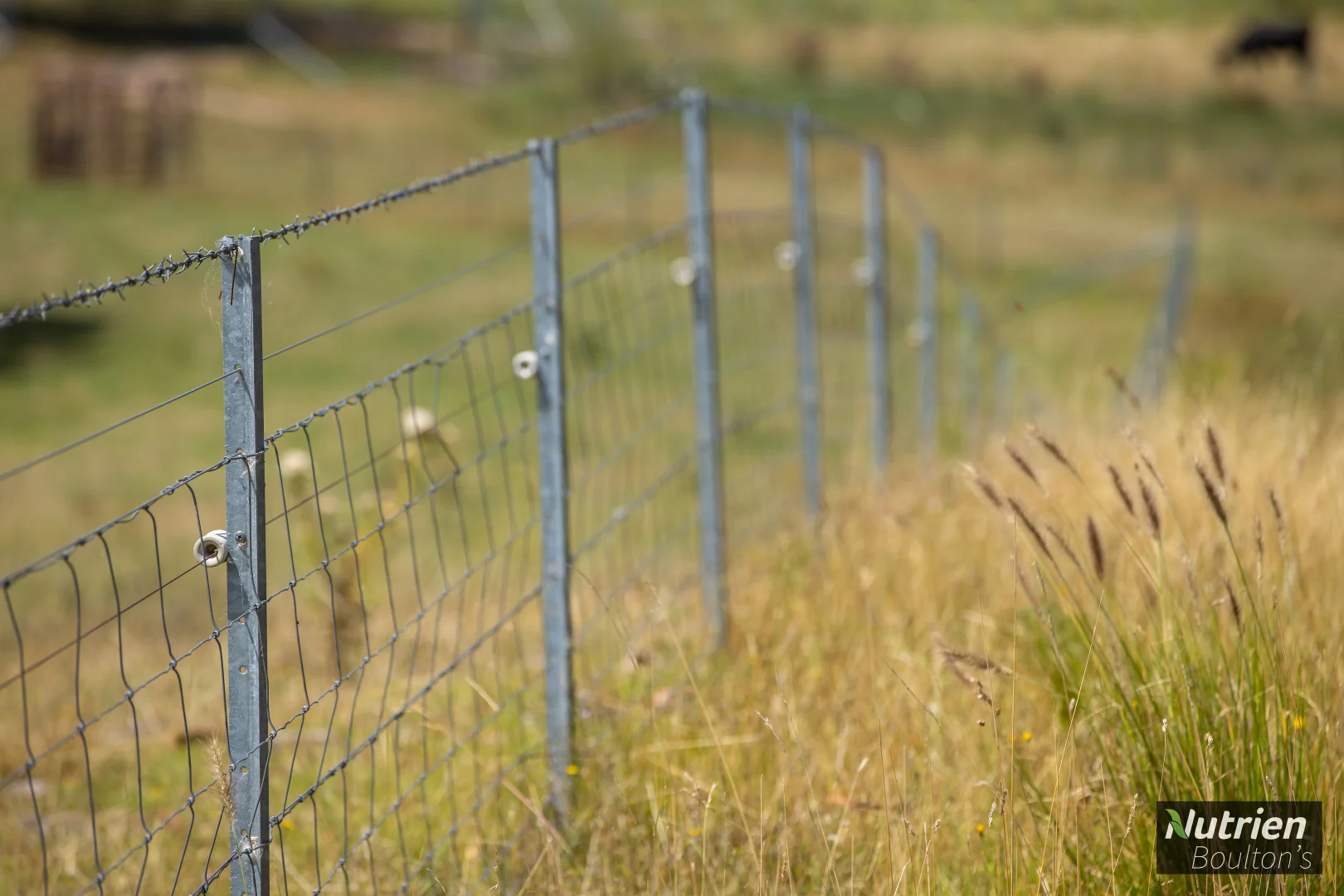 Additional image 44 of 224 Niangala-Walcha Road, Niangala NSW 2354