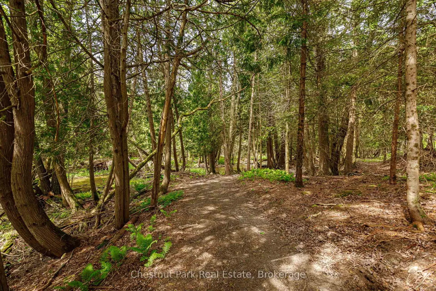 Additional image 16 of 174386 Lower Valley Road