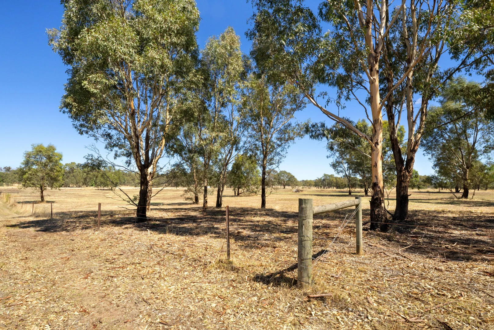 Additional image 9 of 40 Marland Road, Barkly VIC 3384