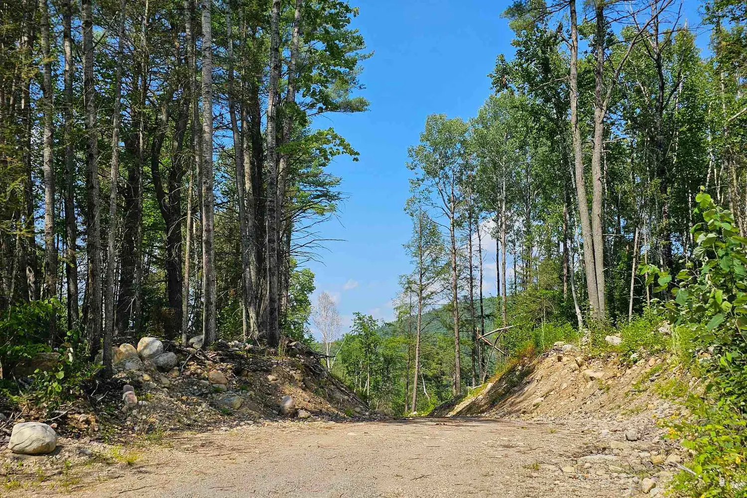 1251 Snake Creek Road photo 2
