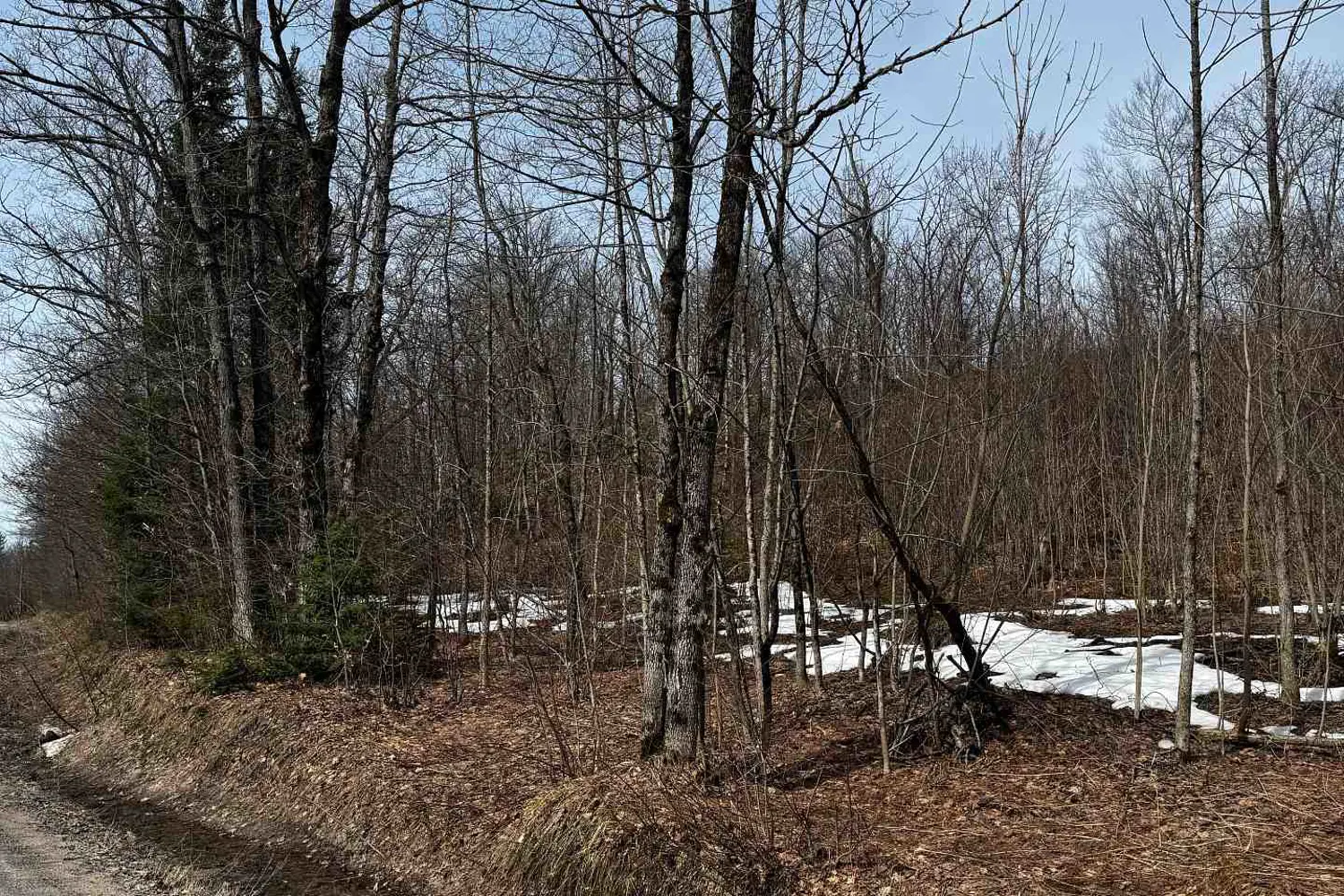Additional image 14 of Lot 3 Lorimer Lake Road