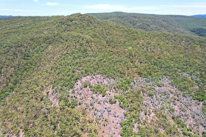 Additional image 3 of 84249 Bruce Highway, Carmila QLD 4739