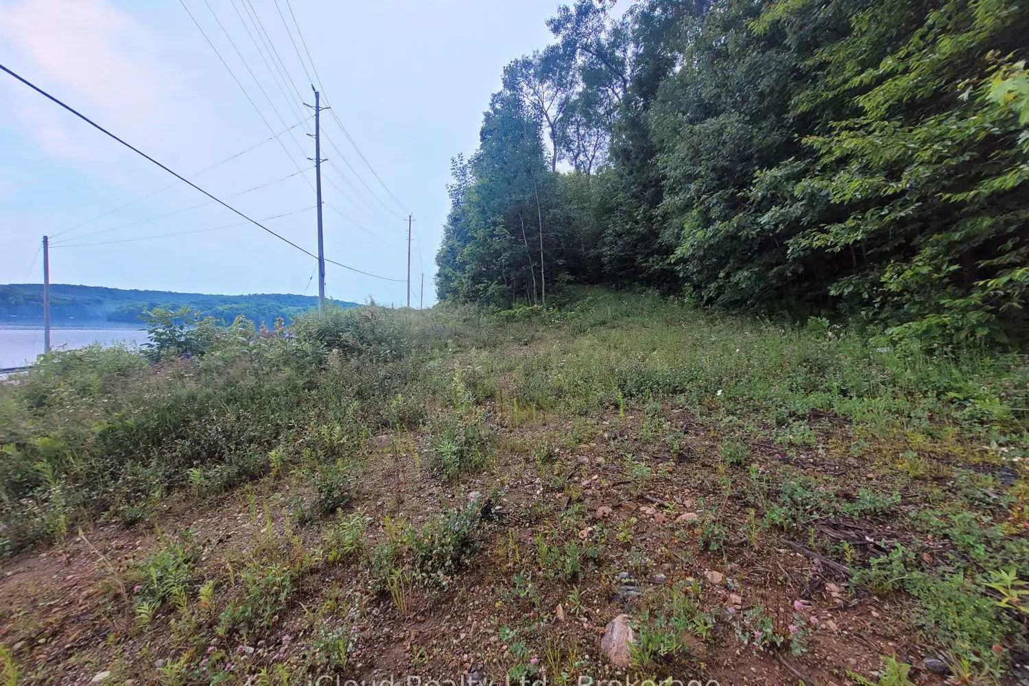 1191 Odessa Trail