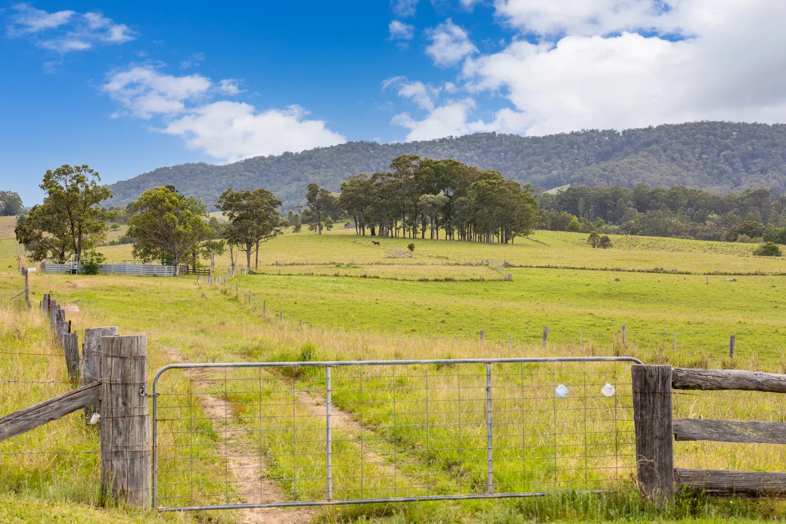 Additional image 2 of 87 Norries Road, Bunyah NSW 2429