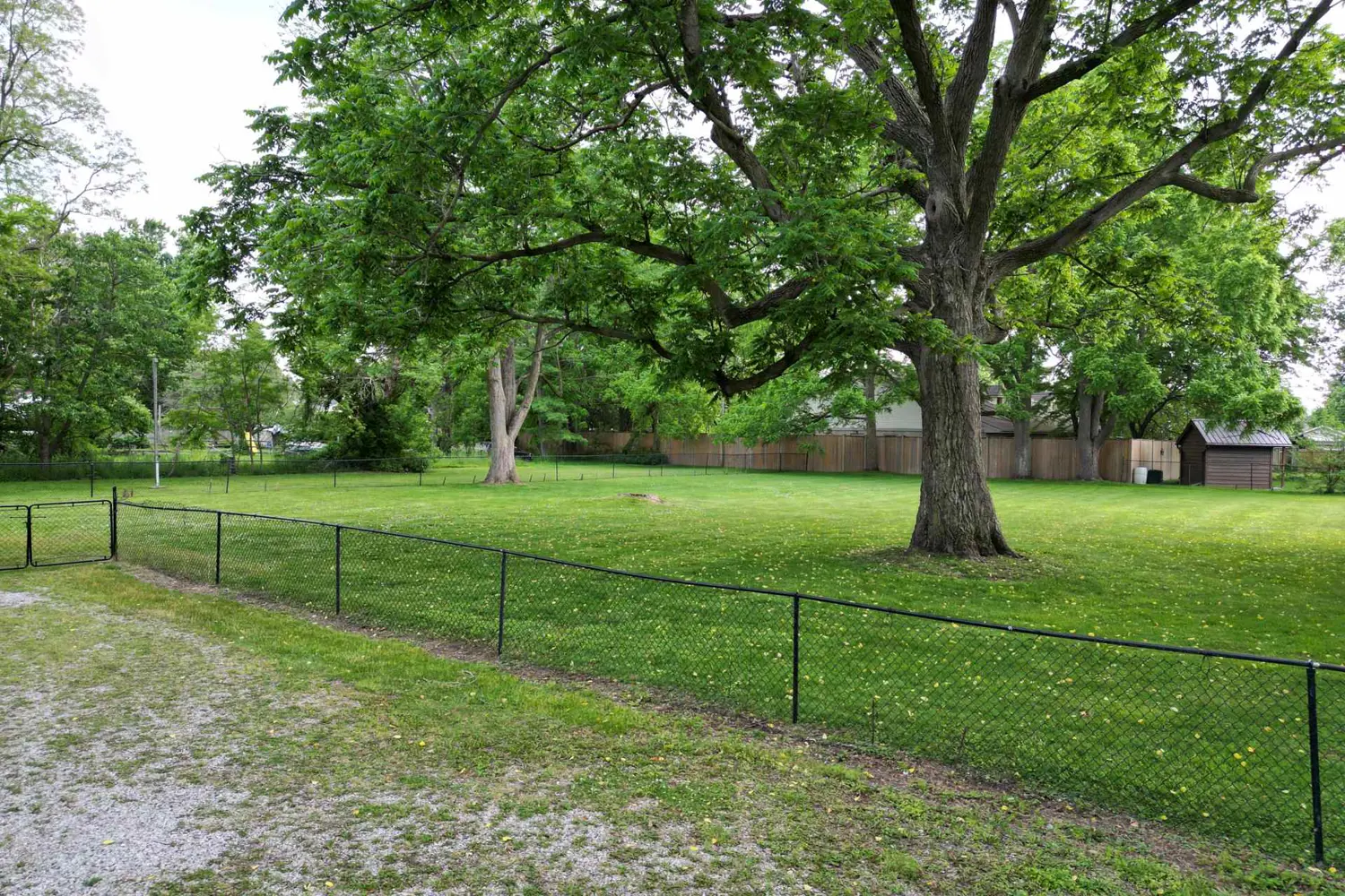 231 William Street photo 3