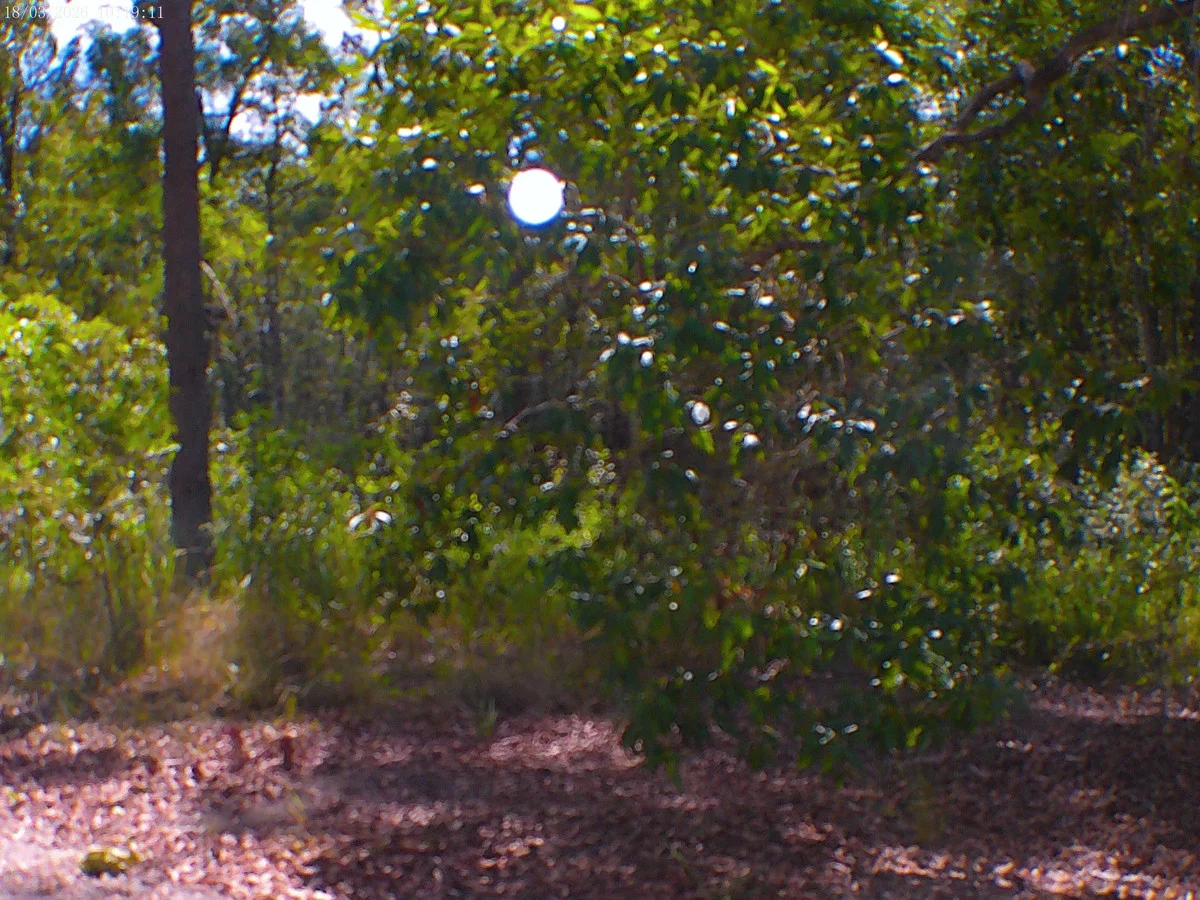 Additional image 7 of 2/71 Bartholdt Drive, Branyan QLD 4670