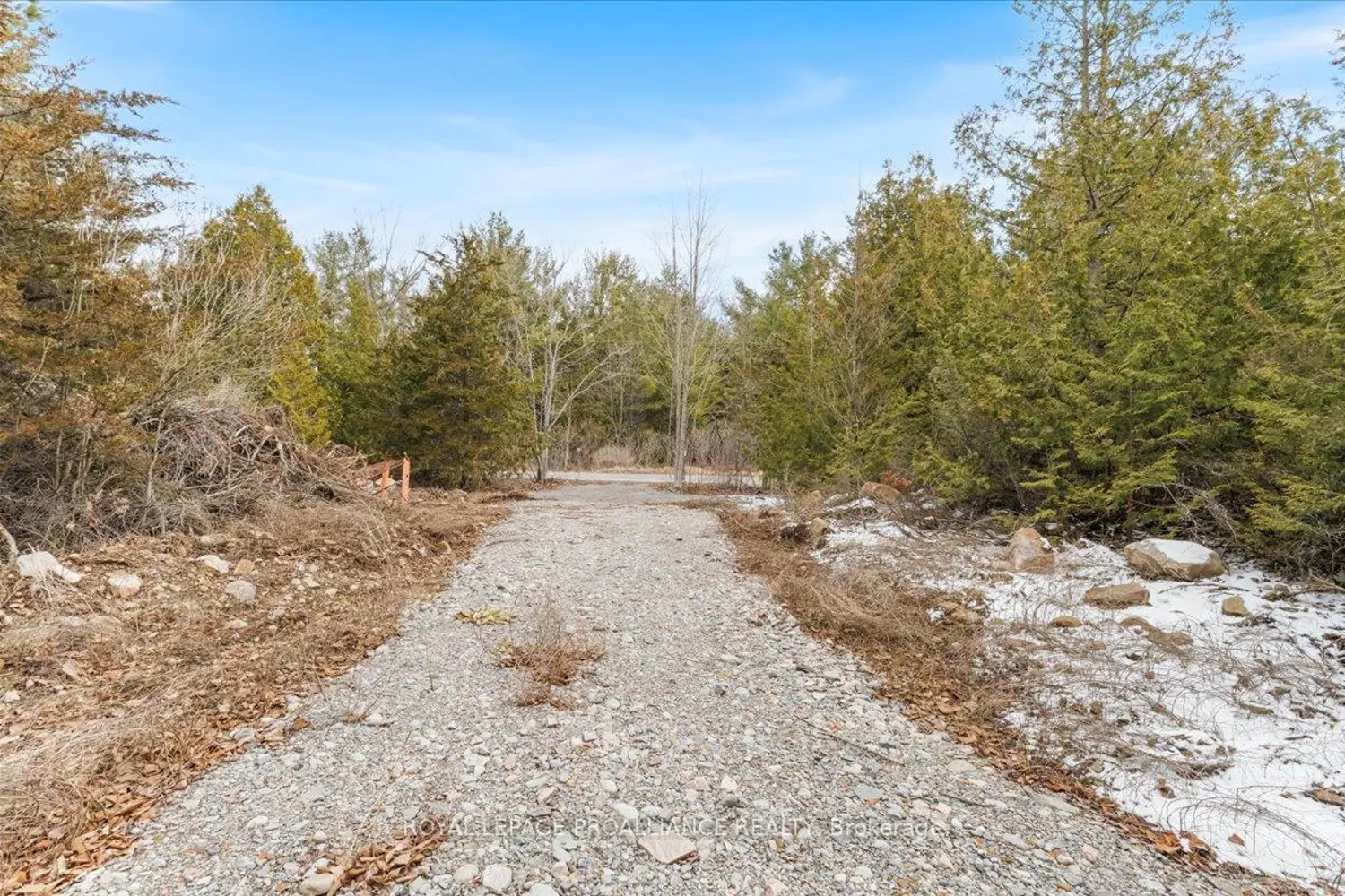 817 Carson Road photo 5
