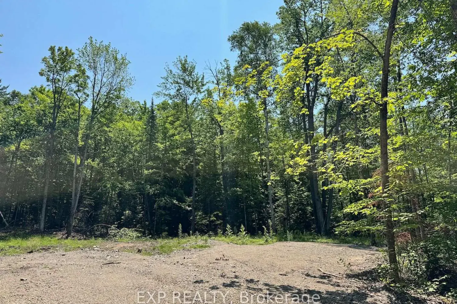 Lot 6 Lakewoods Drive photo 4