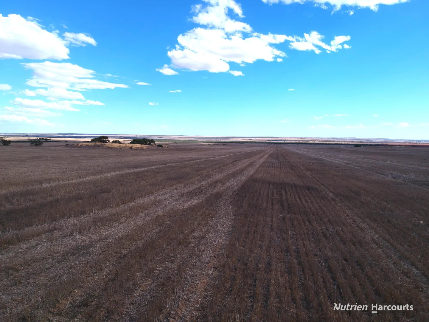 Additional image 7 of . McRoberts Road, Tenindewa WA 6632
