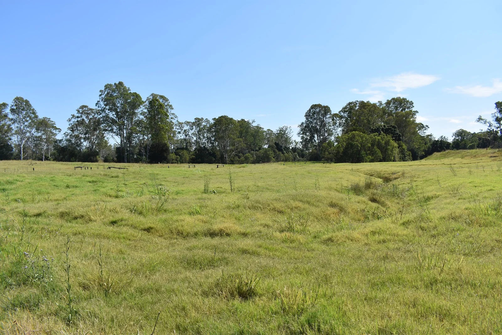 Additional image 16 of lot 103 Pidgeons Road, Tiaro QLD 4650