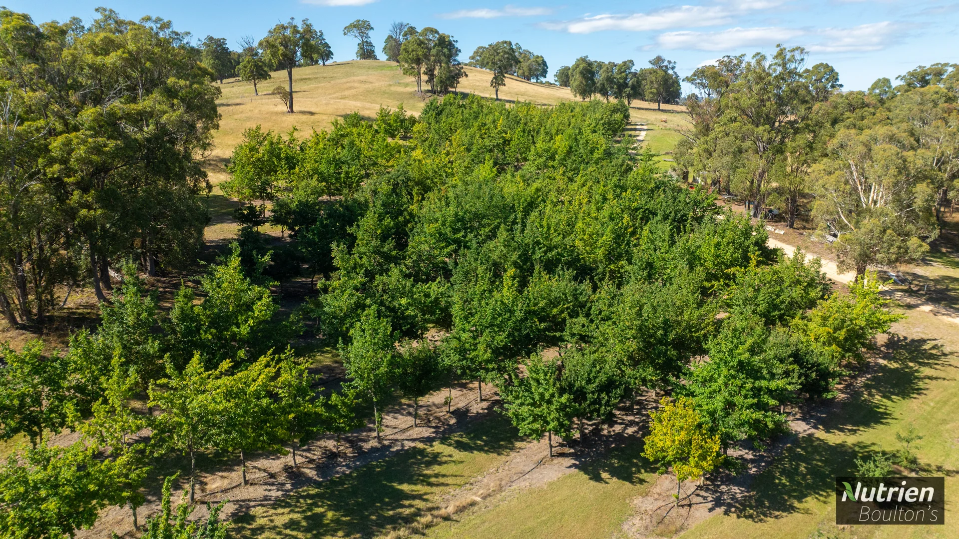 Additional image 29 of 224 Niangala-Walcha Road, Niangala NSW 2354