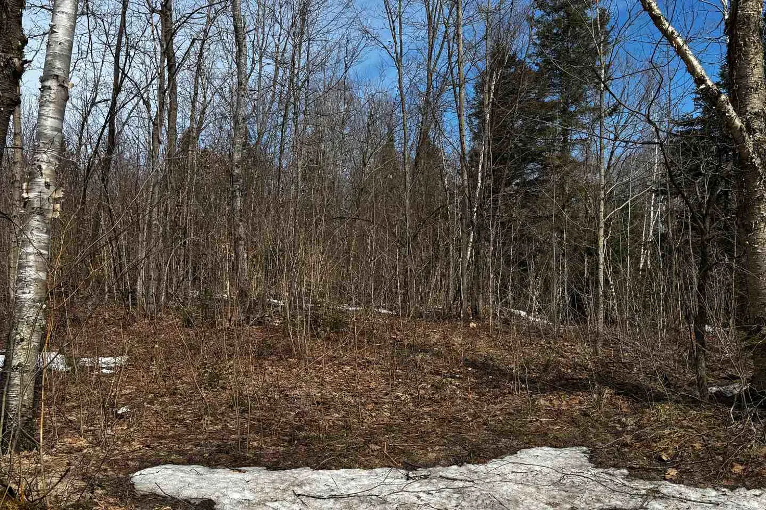 Additional image 19 of Lot 3 Lorimer Lake Road
